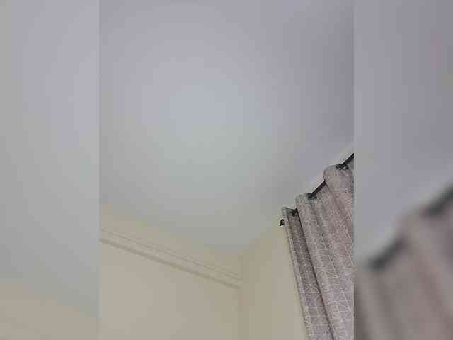 acey-a webcam