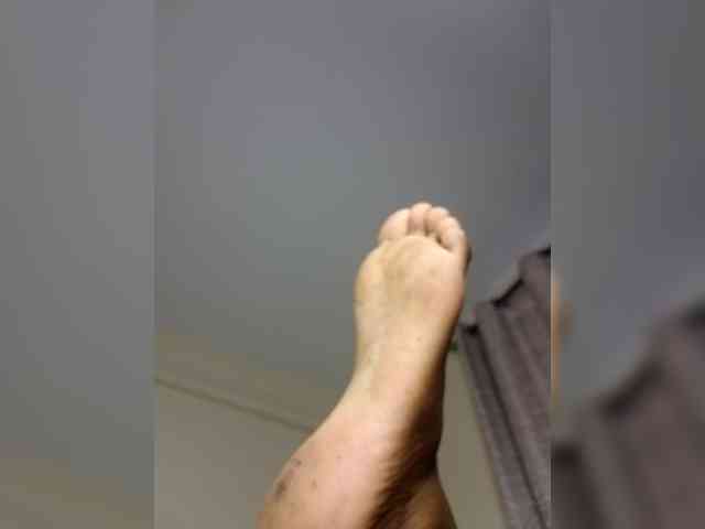 acey-a webcam