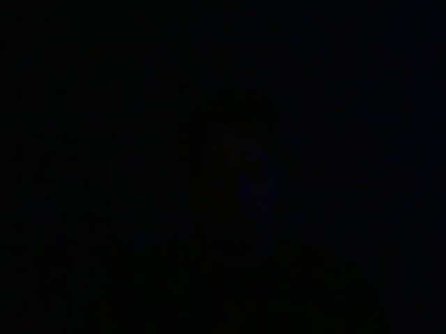 tamer666