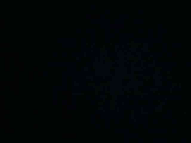 tamer666