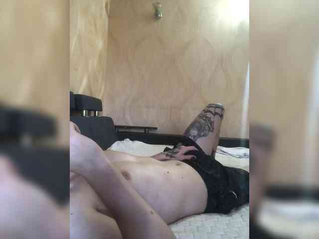 tamer666