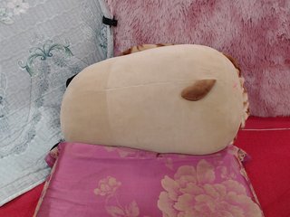 Image capture of AsiaHot95