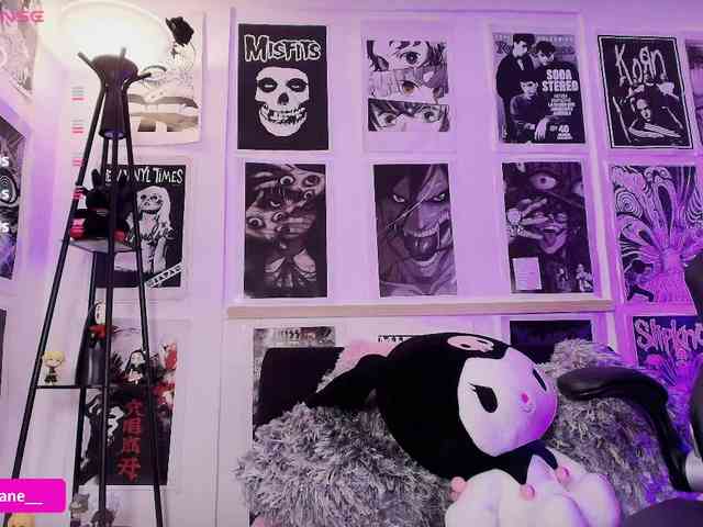 Janediaz webcam