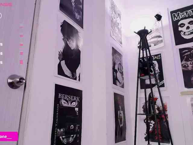 Janediaz webcam