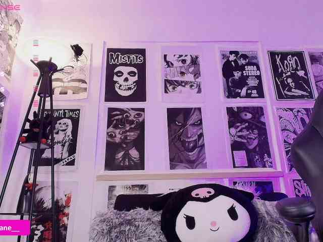 Janediaz webcam