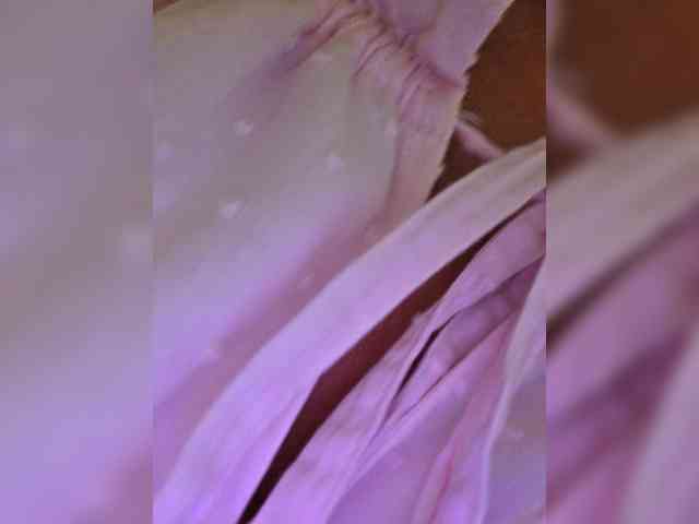 Daria_Desire webcam