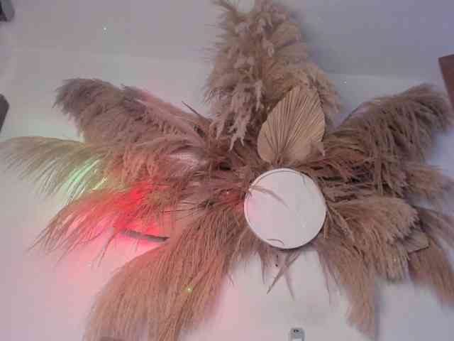 EMMAAA-STOONEE webcam