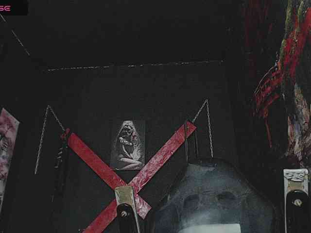 Darkd0ll webcam