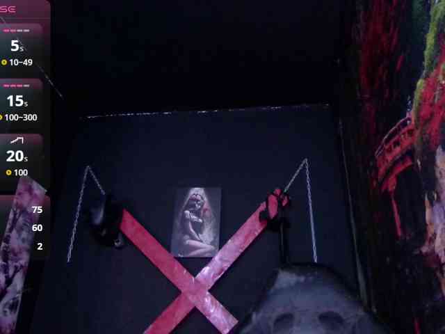 Darkd0ll webcam