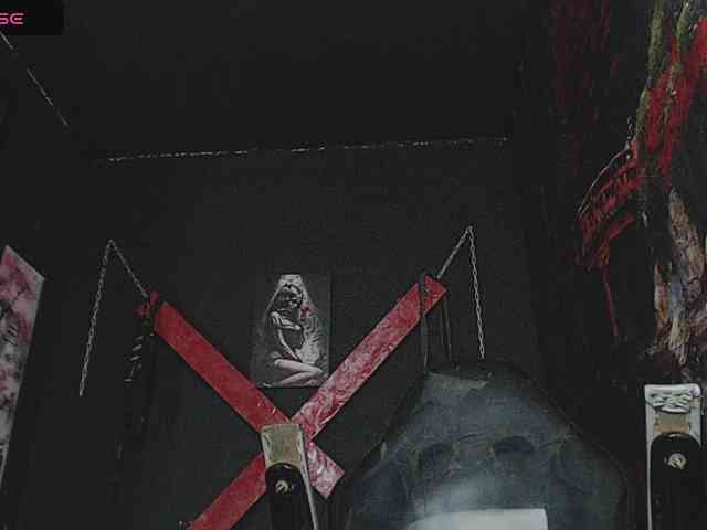 Darkd0ll