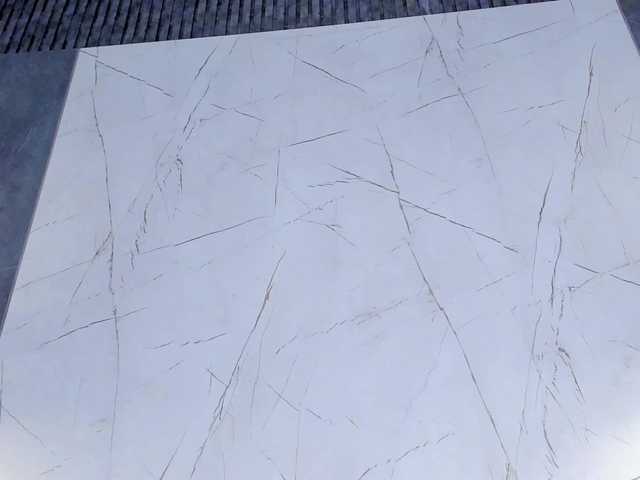 TharaMills live cam