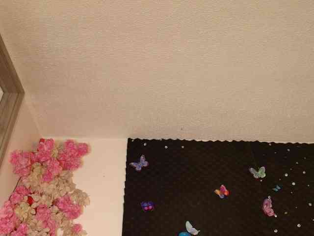 wilmauryssexy webcam