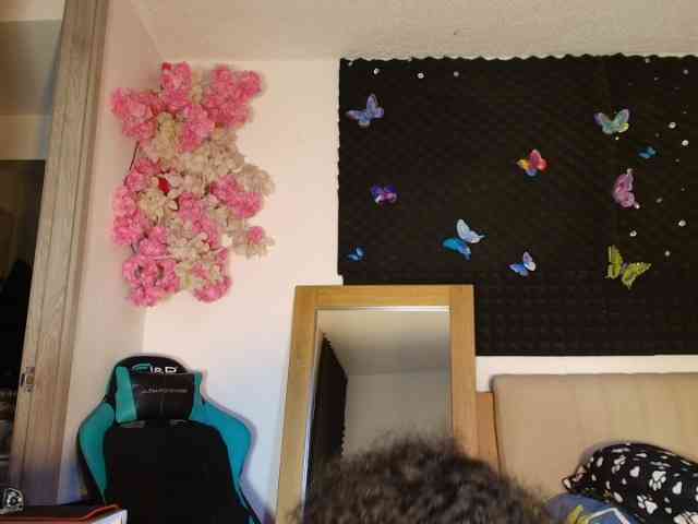 wilmauryssexy webcam