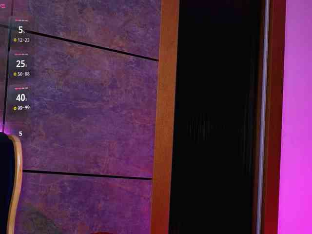 EvaRayne webcam