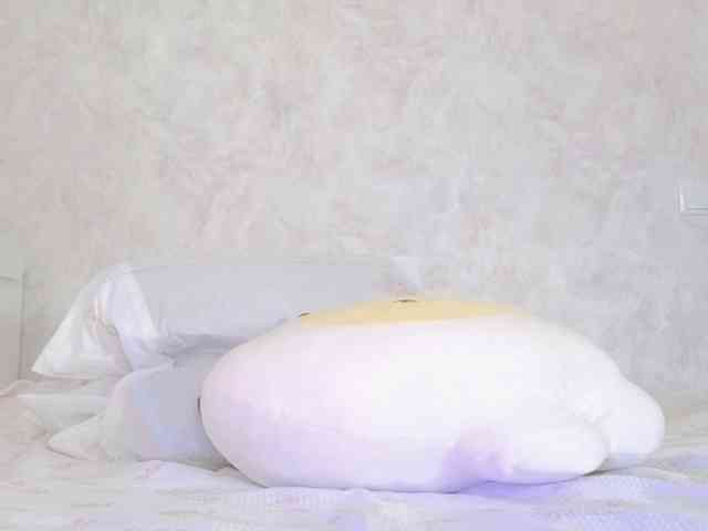 Akinastar webcam