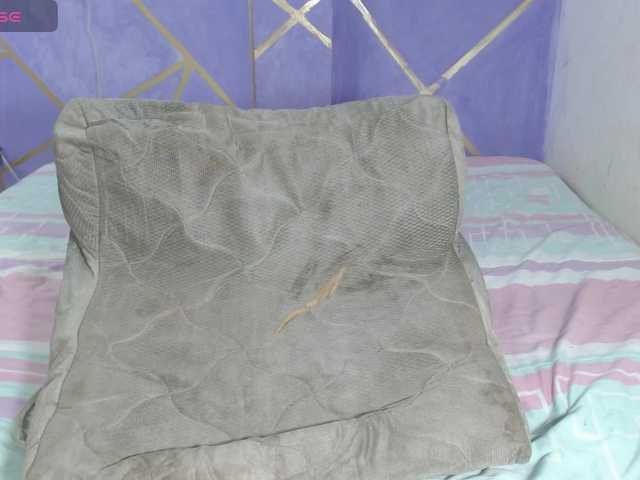 Preview of paolastone