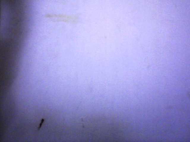 silviaLaBombe