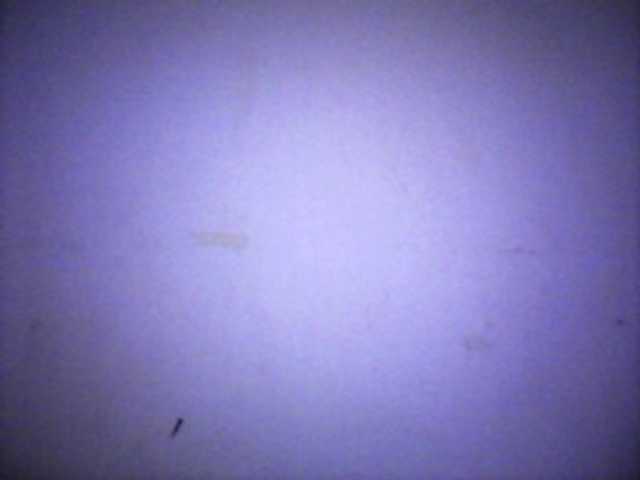 silviaLaBombe live cam on BongaCams