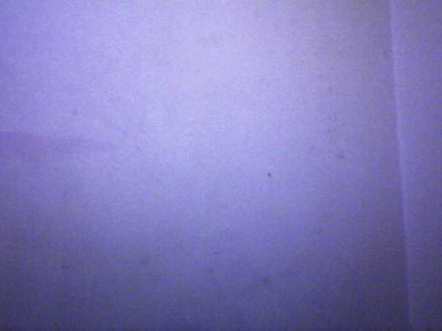 silviaLaBombe