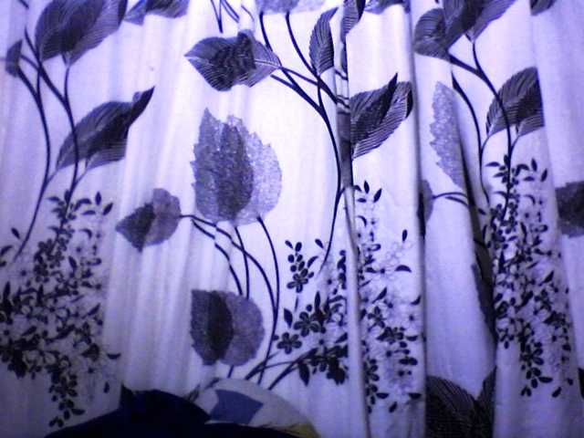 silviaLaBombe