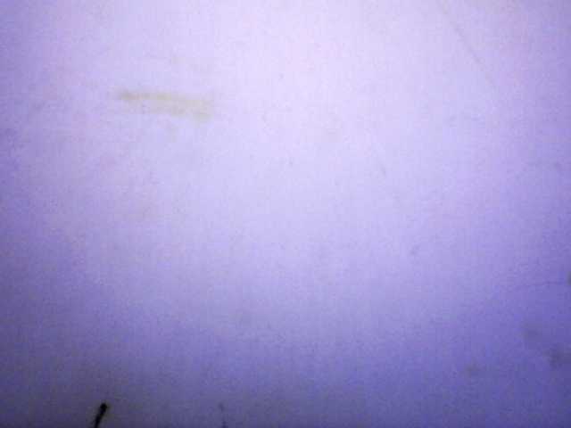 mayrah webcam