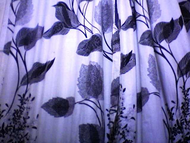 silviaLaBombe