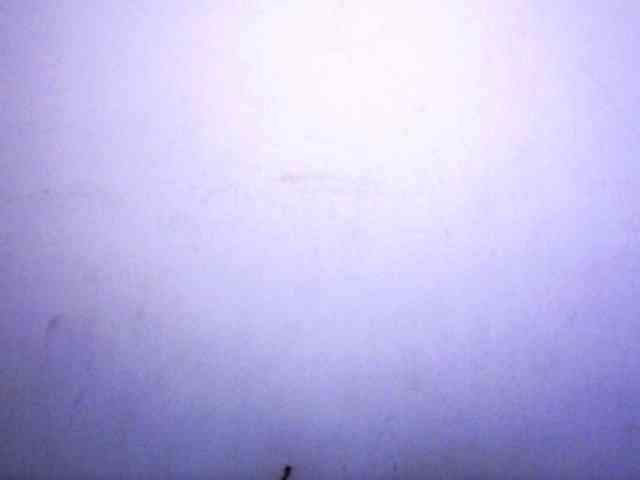 Mayrah