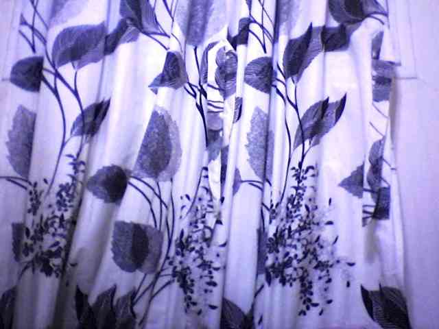 silviaLaBombe webcam