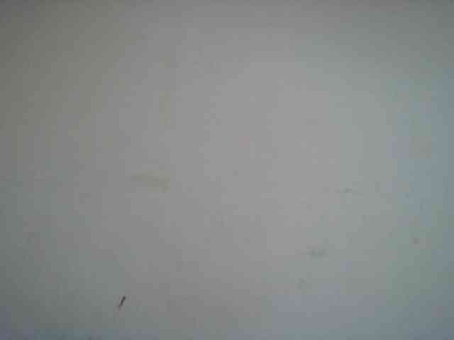 Mayrah webcam
