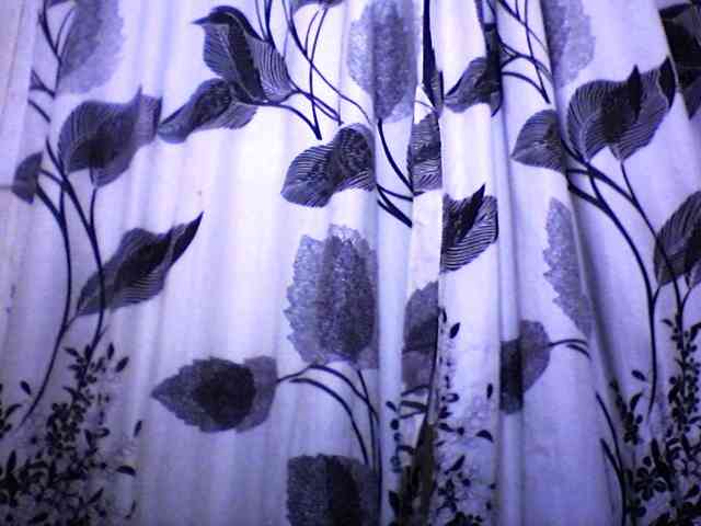 silviaLaBombe webcam