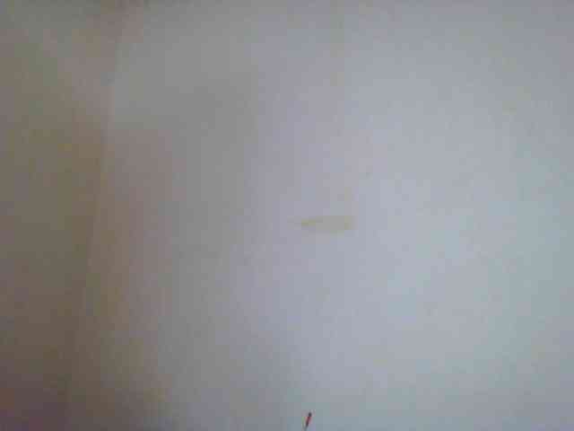 Mayrah webcam