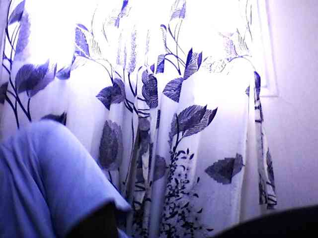 silviaLaBombe webcam