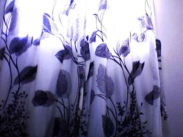 silviaLaBombe