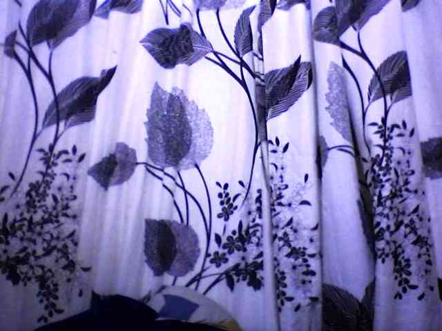 silviaLaBombe webcam