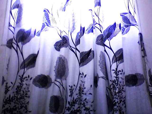 silviaLaBombe