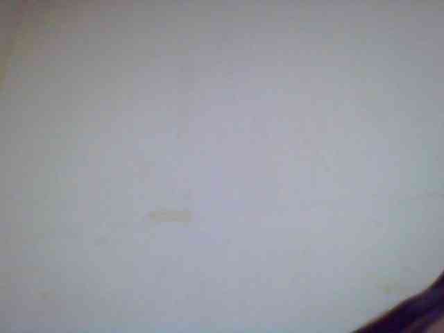 Mayrah webcam