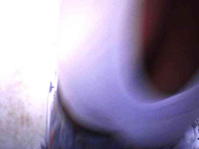 silviaLaBombe webcam