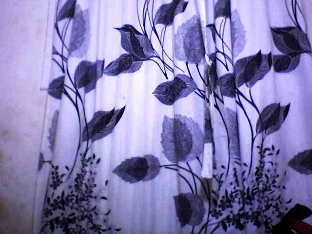 silviaLaBombe webcam