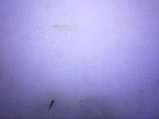 silviaLaBombe silviaLaBombe