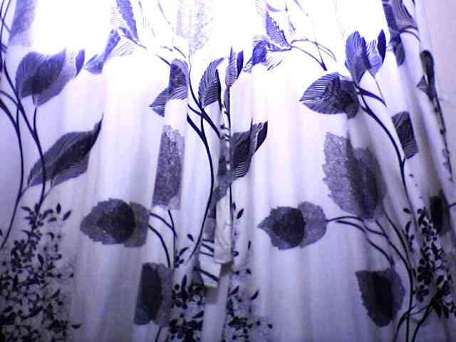 silviaLaBombe