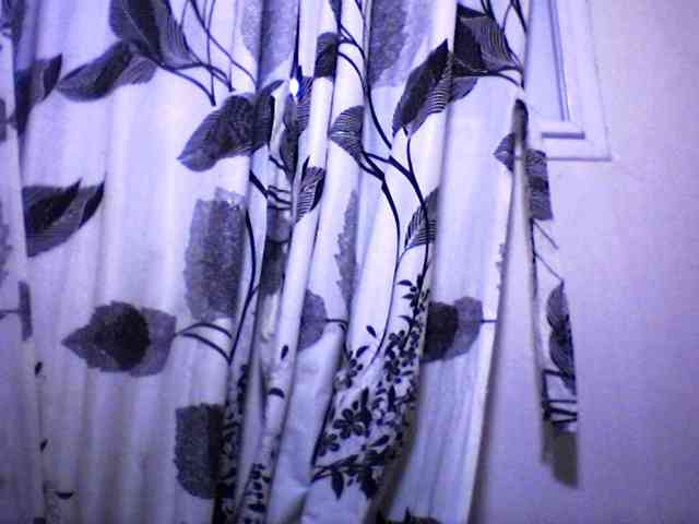 silviaLaBombe