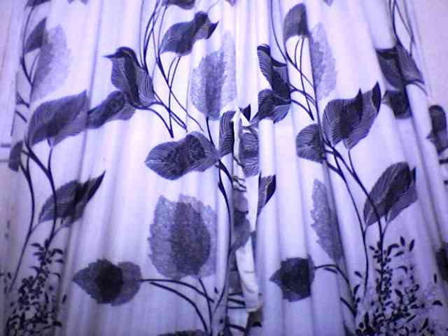 silviaLaBombe webcam