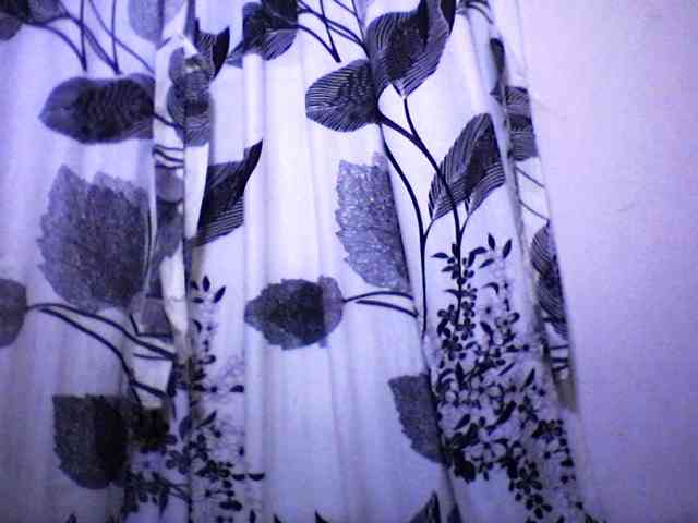 silviaLaBombe webcam