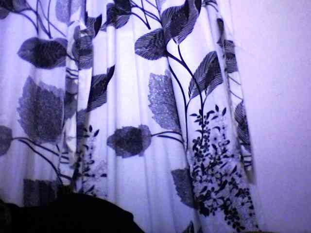 silviaLaBombe webcam