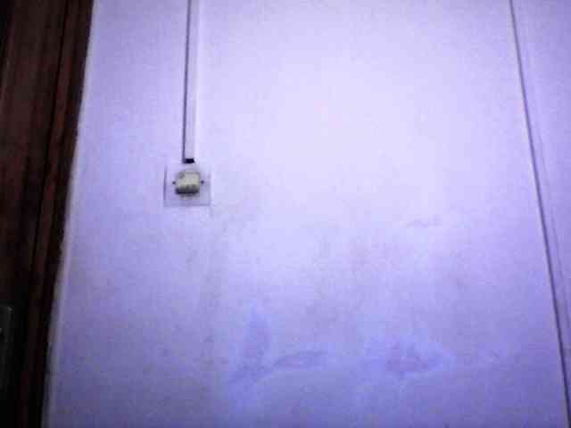 Modèle: silviaLaBombe