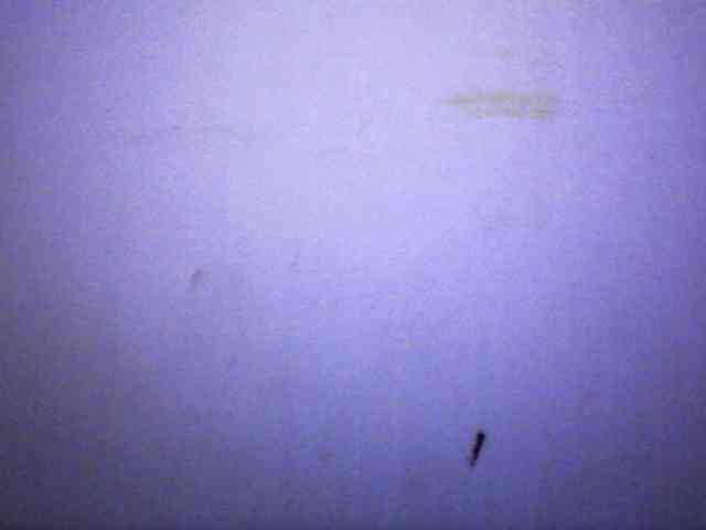Mayrah webcam