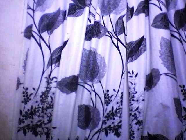 silviaLaBombe webcam