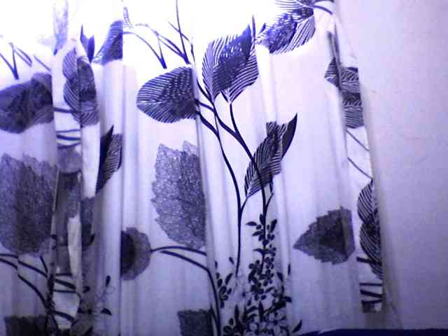 Mayrah webcam