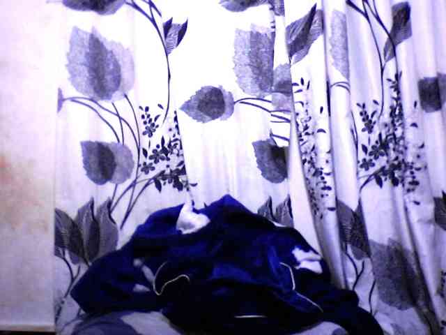 silviaLaBombe webcam