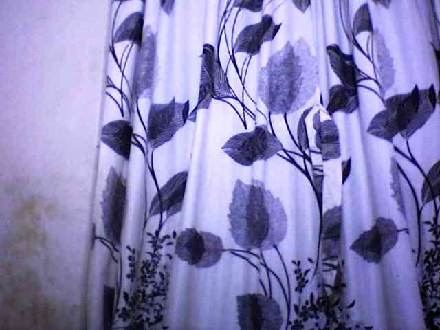 silviaLaBombe webcam